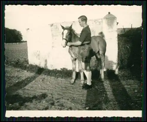 22x Foto Bauernhof Südliche Weinstraße Rheinland-Pfalz Pferde u.a. Tiere 1935-45