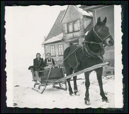 22x Foto Bauernhof Südliche Weinstraße Rheinland-Pfalz Pferde u.a. Tiere 1935-45