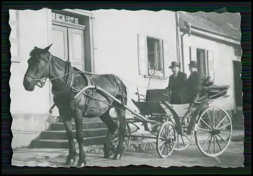 22x Foto Bauernhof Südliche Weinstraße Rheinland-Pfalz Pferde u.a. Tiere 1935-45