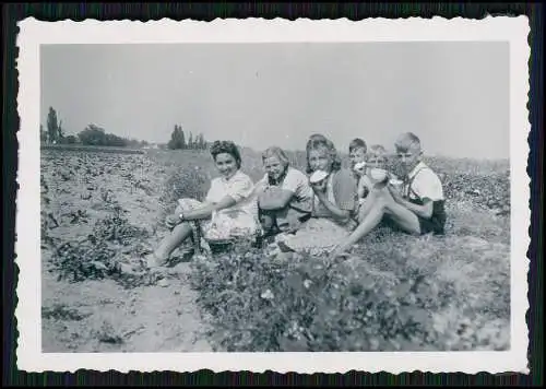 22x Foto Bauernhof Südliche Weinstraße Rheinland-Pfalz Pferde u.a. Tiere 1935-45