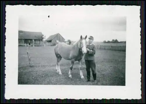 22x Foto Bauernhof Südliche Weinstraße Rheinland-Pfalz Pferde u.a. Tiere 1935-45