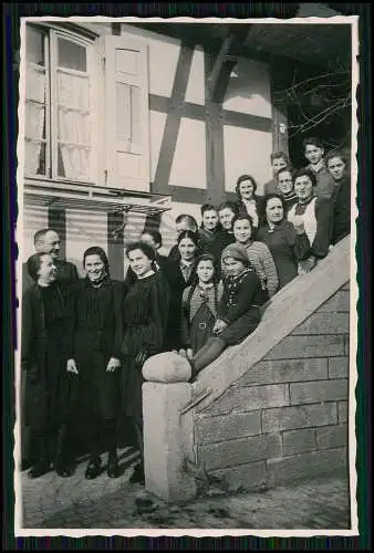 21x Foto Bauernhof Südliche Weinstraße Rheinland-Pfalz Pferde u.a. Tiere 1935-45