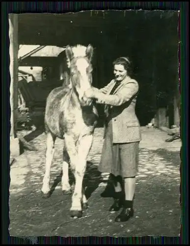 21x Foto Bauernhof Südliche Weinstraße Rheinland-Pfalz Pferde u.a. Tiere 1935-45