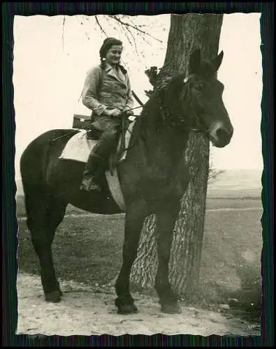 21x Foto Bauernhof Südliche Weinstraße Rheinland-Pfalz Pferde u.a. Tiere 1935-45