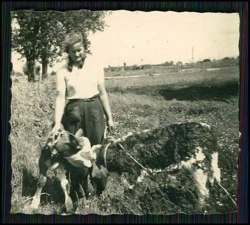 21x Foto Bauernhof Südliche Weinstraße Rheinland-Pfalz Pferde u.a. Tiere 1935-45