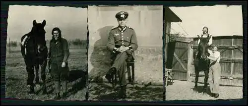 21x Foto Bauernhof Südliche Weinstraße Rheinland-Pfalz Pferde u.a. Tiere 1935-45