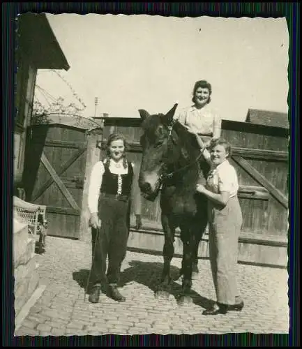 21x Foto Bauernhof Südliche Weinstraße Rheinland-Pfalz Pferde u.a. Tiere 1935-45