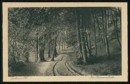 AK Ansichtskarte Postkarte Eutin in Ostholstein, Naturpark Prinzenholz 1933