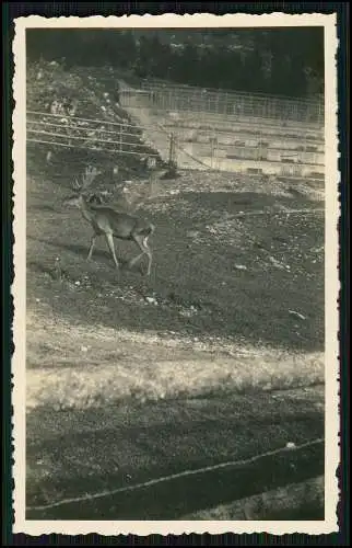 18x Foto Baden-Württemberg Bayern Zugspitze Reise Ansichten 1933-35