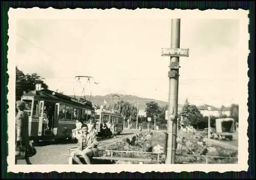 16x alte Foto Zürich Schaffhausen Rhein Bodensee Reise Ansichten