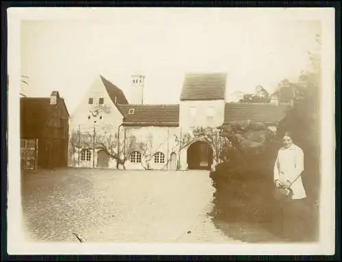 9x Foto Berlin-Grunewald Jagdschloss Grunewald Hof Wildschweingruppe 1925 uvm.