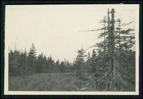 13x Foto Reise Altenau-Schulenberg Clausthal-Zellerfeld Goslar Niedersachse 1936