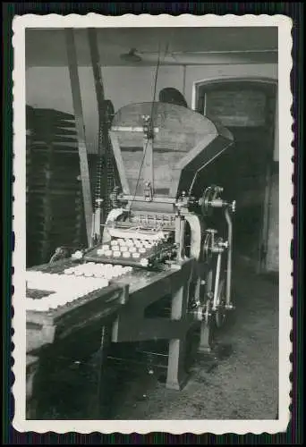 11x Foto Heimische Käsefabrik Herstellung Angestellte in Sachsen ? um 1936