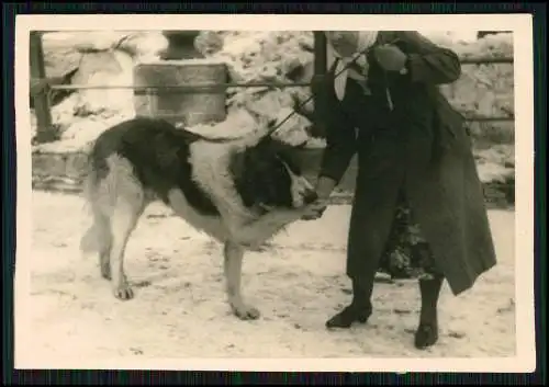 18x Soldaten Wehrmacht Vormarsch Bulgarien Rumänien Balkan kleine Dörfer Bauern