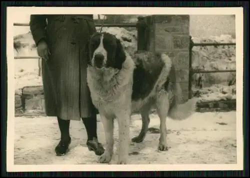 18x Soldaten Wehrmacht Vormarsch Bulgarien Rumänien Balkan kleine Dörfer Bauern
