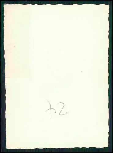 3x Foto Hiddesen Detmold Lippe Hermannsdenkmal Teutoburger Wald ab 1930