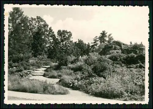 8x alte Foto Nymphenburg München Bayern, Königliches Schloss Nymphenburg um 1940
