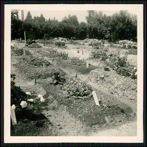 13x Foto Neresheim Ostalbkreis Baden-Württemberg Ulrichsberg Abtei Neresheim