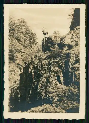 12x Foto und AK alte Ansichten Schwarzwald Feldberg Titisee und vieles mehr 1936