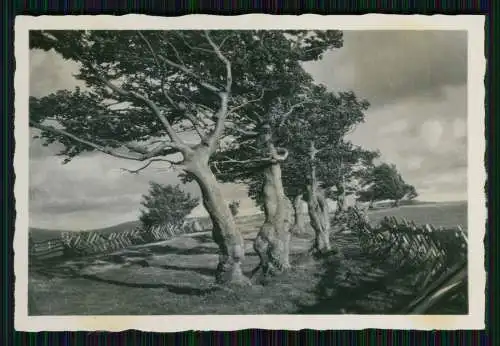 12x Foto und AK alte Ansichten Schwarzwald Feldberg Titisee und vieles mehr 1936