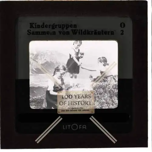 Orig. Dia 5x5cm Litofa Kindergruppe sammeln von Wildkräutern