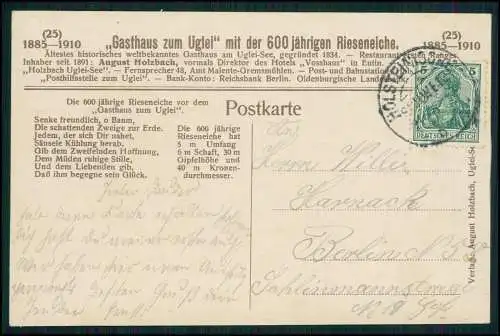 AK Ukleisee Eutin - Gasthaus zum Uglei, 600jährige Rieseneiche 1925 gelaufen