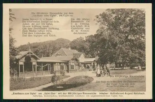 AK Ukleisee Eutin - Gasthaus zum Uglei, 600jährige Rieseneiche 1925 gelaufen