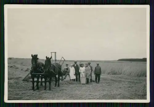 8x Foto unser Bauernhof 1936 Arbeit auf dem Felde mit Pferde uvm.