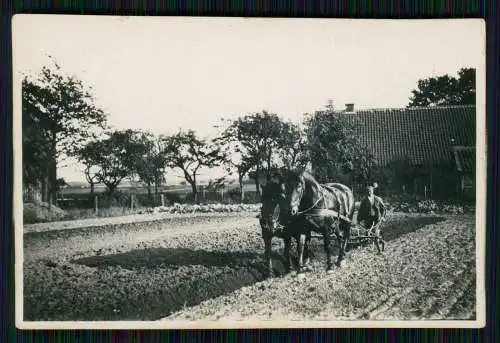 8x Foto unser Bauernhof 1936 Arbeit auf dem Felde mit Pferde uvm.