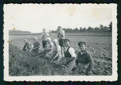 8x Foto unser Bauernhof 1936 Arbeit auf dem Felde mit Pferde uvm.