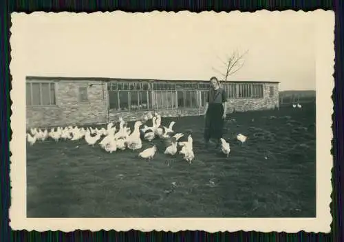 8x Foto unser Bauernhof 1936 Arbeit auf dem Felde mit Pferde uvm.