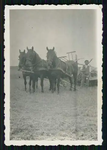 8x Foto unser Bauernhof 1936 Arbeit auf dem Felde mit Pferde uvm.