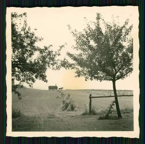 5x Foto Windmühle Windmill um 1936