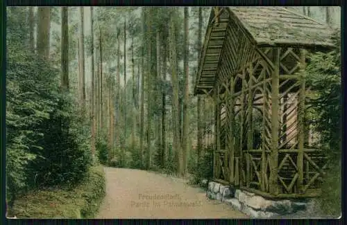 AK Freudenstadt im Nordschwarzwald Partie im Palmenwald 1911 gelaufen