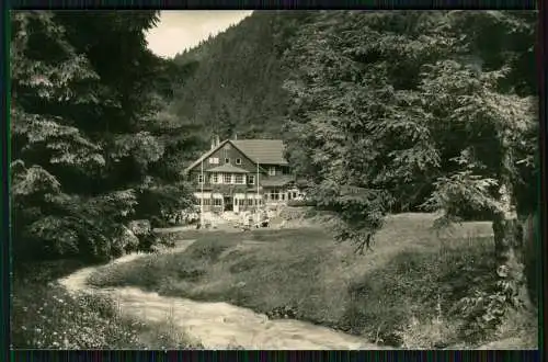 Foto AK Tabarz im Thüringer Wald HO Gaststätte Massemühle Garten mit Liegestühle