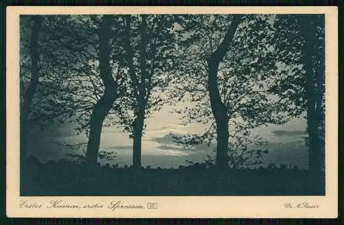 6x AK Dr. A. Sauer Stimmungsbilder Natur Ansichten 7+13+15+17+56+57