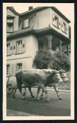 3x Foto Loffenau Bad Herrenalb Schwarzwald, Panorama und Ansichten im Ort 1939