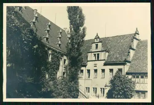 3x Foto Erbach im Odenwald Hessen, Schlossplatz, Rathaus, Kirche 1939