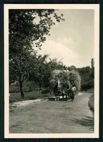 5x Foto Dörrenbach Rheinland Pfalz Fachwerkhäuser Kirche uvm.  1936