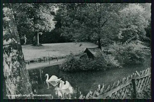 10x AK alles Lippe Detmold Horn Bad Meinberg Berlebeck Lemgo uvm. Cekade Karten