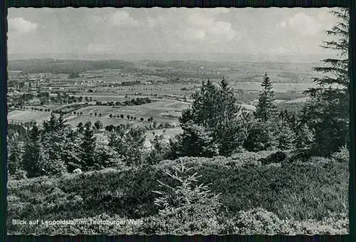 10x AK alles Lippe Detmold Horn Bad Meinberg Berlebeck Lemgo uvm. Cekade Karten