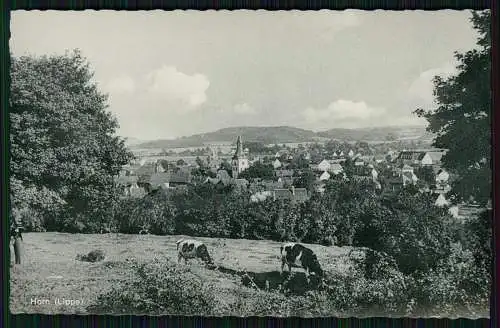 10x AK alles Lippe Detmold Horn Bad Meinberg Berlebeck Lemgo uvm. Cekade Karten