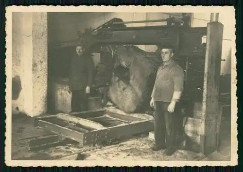 3x Foto Arbeit im Sägewerk Maschinen riesige Bäume werden zerschnitten 1930-35