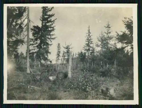 9x Foto 1. WK Kurland Lettland Deutsche Soldaten Bunker Shelter Graben uvm. 1918