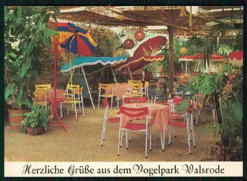 AK Herzliche Grüße Vogelpark Walsrode Tropencafé in der Paradies-Halle