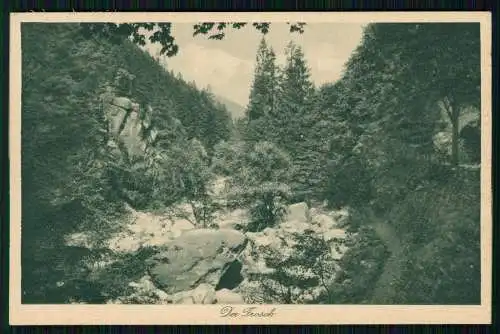 AK Der Frosch Oker Goslar Harz Okertal Hotel Romkerhalle Haus Helene 1930 gel.