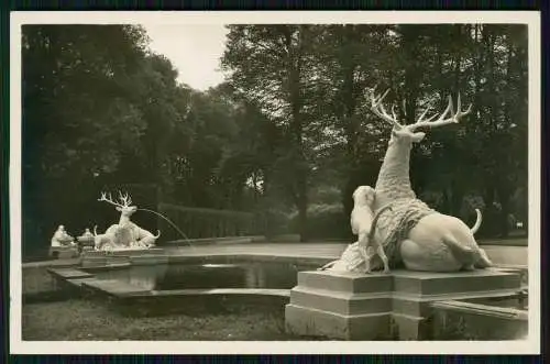 Foto AK Schwetzingen Hirschgruppe und Arion Brunnen im Schlosspark 1939