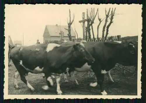 23x Foto Ansichten Hohenlimburg Hagen Östliches Ruhrgebiet zum Sauerland 1930-45