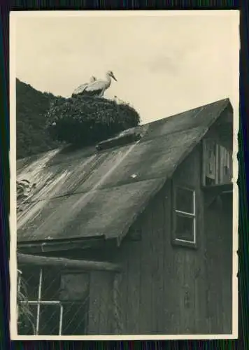 23x Foto Ansichten Hohenlimburg Hagen Östliches Ruhrgebiet zum Sauerland 1930-45