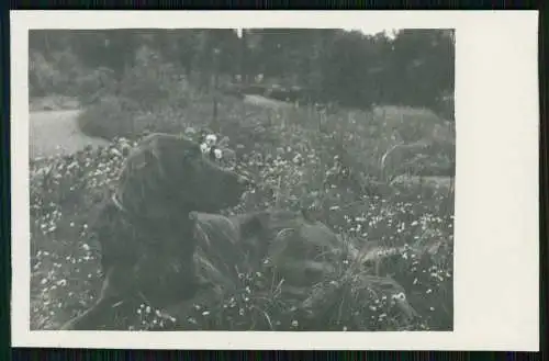 20x Foto Ansichten Hohenlimburg Hagen Östliches Ruhrgebiet zum Sauerland 1930-45